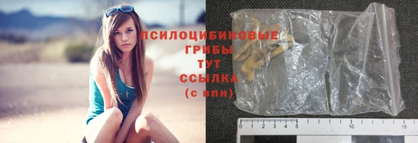 спиды Алексеевка